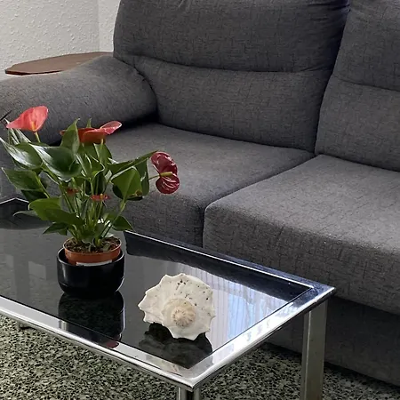 Con Feng Shui *
